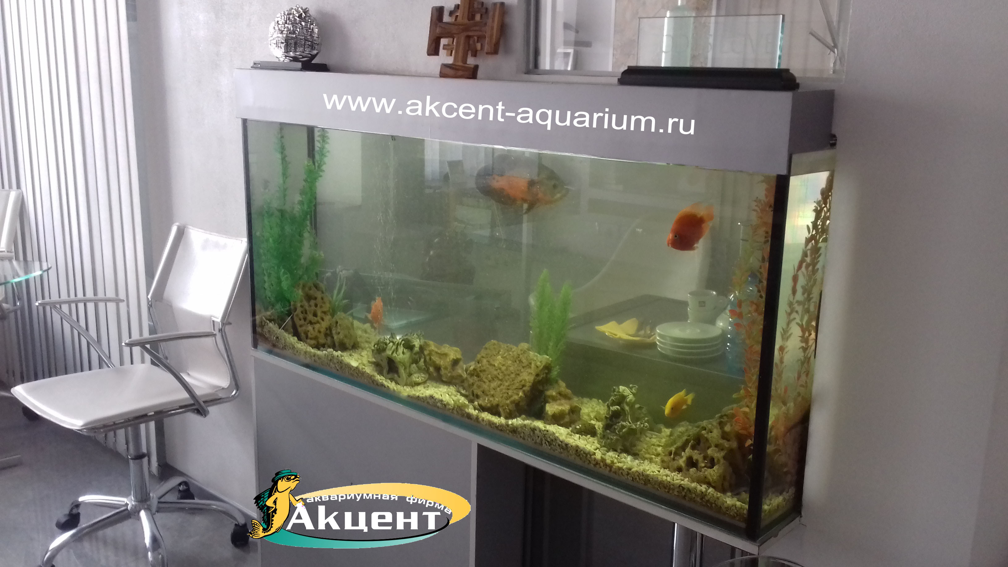 Акцент-аквариум,аквариум просмотровый 300 литров встроенный в стену